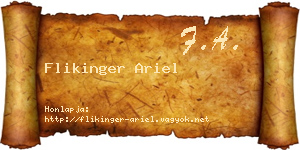 Flikinger Ariel névjegykártya